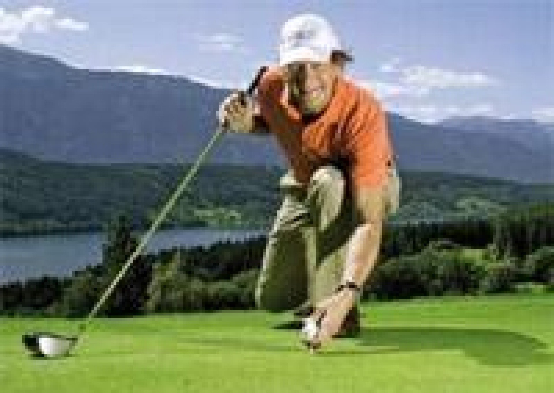 GOLFER`S lunch & more