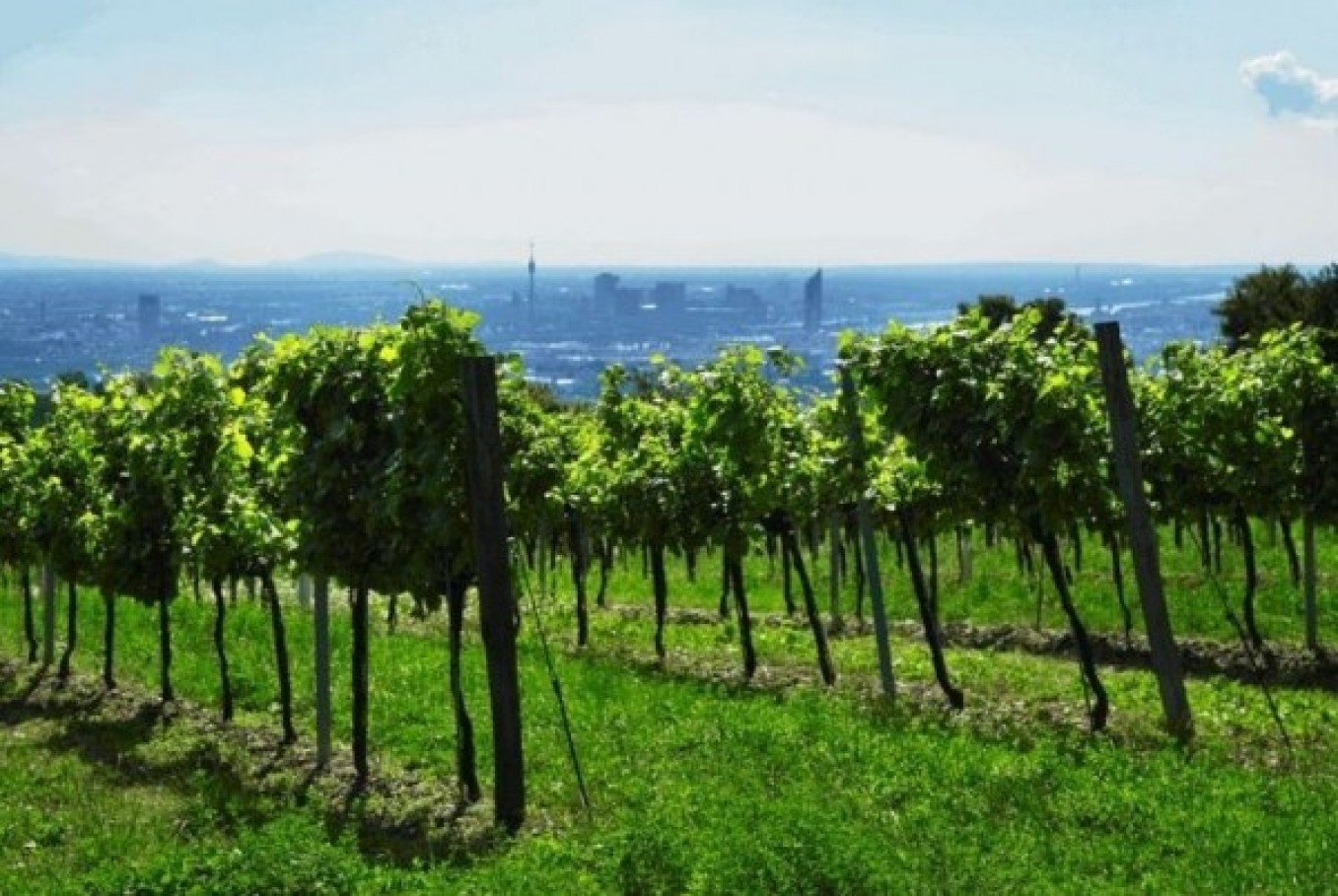 Weingut Cobenzl