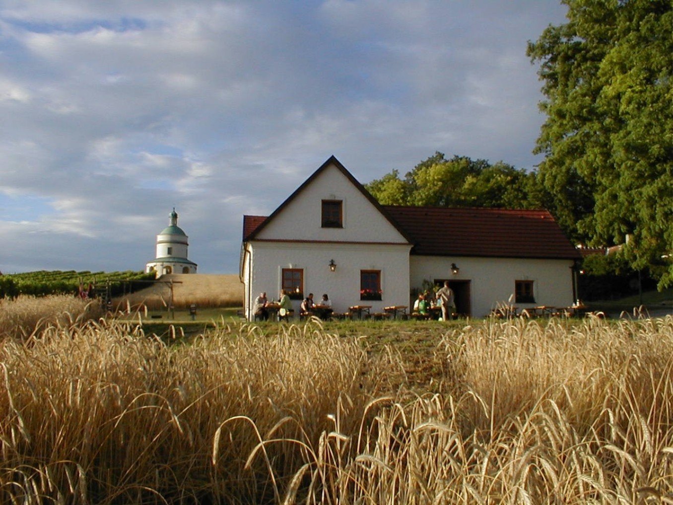 Weingut & Buschenschank Eventlocation mieten